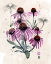 Picture of PURPLE WILDFLOWERS I