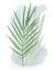 Picture of PALM OVERLAY I
