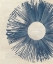 Picture of BLUE BURST I