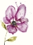 Picture of VIOLET PETALS I