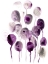 Picture of PLUM PODS II