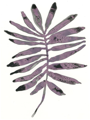 Picture of FOLIAGE FOSSIL I