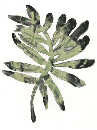 Picture of FOLIAGE FOSSIL V