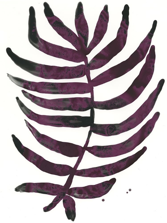 Picture of FOLIAGE FOSSIL VI