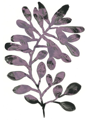 Picture of FOLIAGE FOSSIL VIII