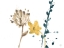 Picture of NAVY GARDEN INSPIRATION IV