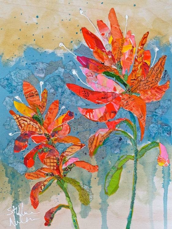 Picture of INDIAN PAINTBRUSH COLLAGE II