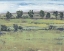 Picture of HORIZON TIME II