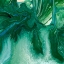 Picture of AMAZONIAN II