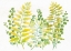 Picture of MIXED GREENERY I