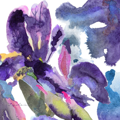 Picture of WATERCOLOR FLOWER COMPOSITION II