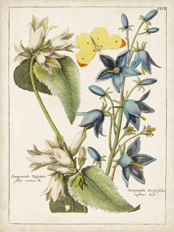 Picture of BOTANICAL BOUQUET I