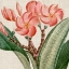 Picture of CROPPED TURPIN TROPICALS VII