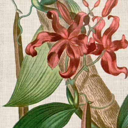 Picture of CROPPED TURPIN TROPICALS IX
