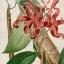 Picture of CROPPED TURPIN TROPICALS IX