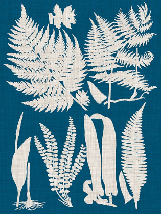 Picture of LINEN AND BLUE FERNS I