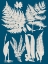 Picture of LINEN AND BLUE FERNS I