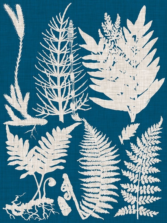 Picture of LINEN AND BLUE FERNS II