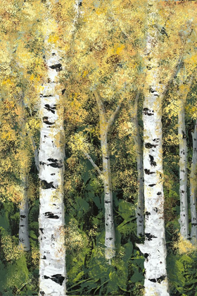 Picture of BIRCH TREELINE I