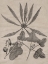 Picture of ELOQUENT LEAVES III