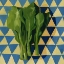 Picture of GEO VEGGIES I