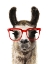 Picture of HIP LLAMA I