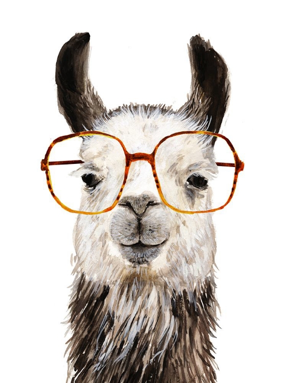 Picture of HIP LLAMA III