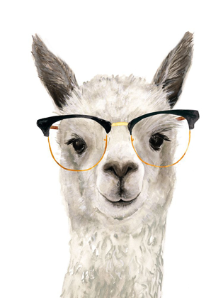 Picture of HIP LLAMA IV