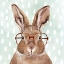 Picture of FOUR-EYED FORESTER III