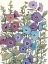 Picture of HOLLYHOCKS IN BLOOM II