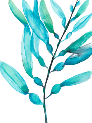 Picture of WATERCOLOR KELP I