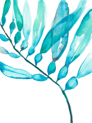 Picture of WATERCOLOR KELP II