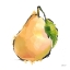 Picture of DESIGNER FRUITS IV