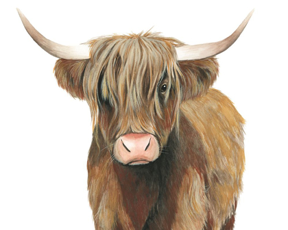 Picture of HIGHLAND CATTLE II