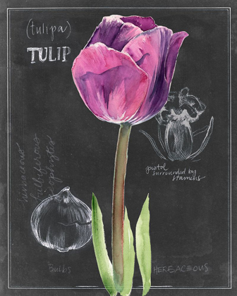 Picture of CHALKBOARD FLOWER IV