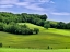 Picture of PASTORAL COUNTRYSIDE II