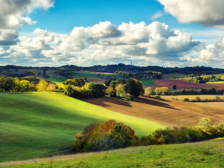 Picture of PASTORAL COUNTRYSIDE III