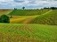 Picture of PASTORAL COUNTRYSIDE VI