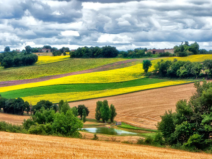 Picture of PASTORAL COUNTRYSIDE VIII