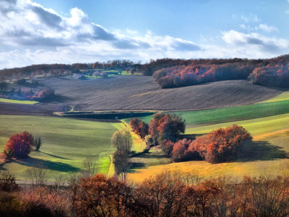 Picture of PASTORAL COUNTRYSIDE IX