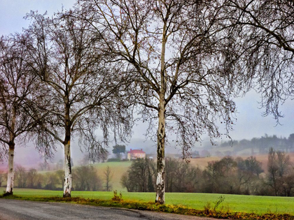 Picture of PASTORAL COUNTRYSIDE XI