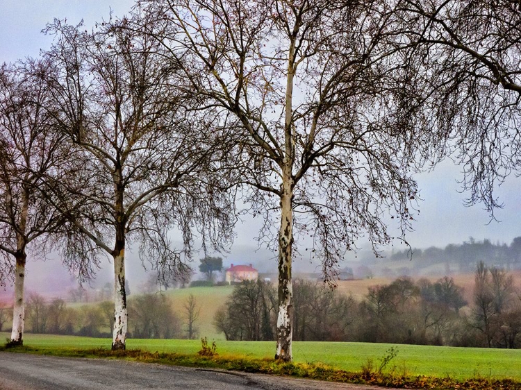 Picture of PASTORAL COUNTRYSIDE XI