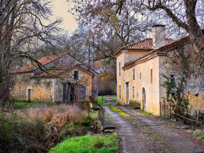 Picture of PASTORAL COUNTRYSIDE XII