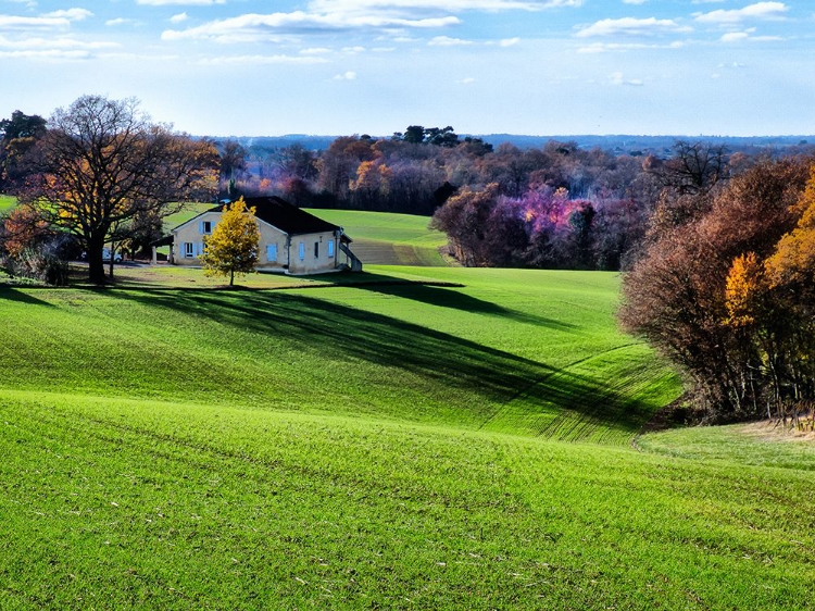 Picture of PASTORAL COUNTRYSIDE XV