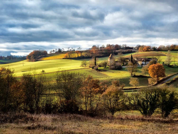 Picture of PASTORAL COUNTRYSIDE XVIII