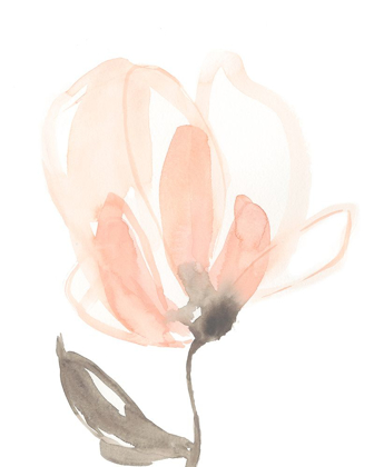 Picture of BLUSH PETALS II
