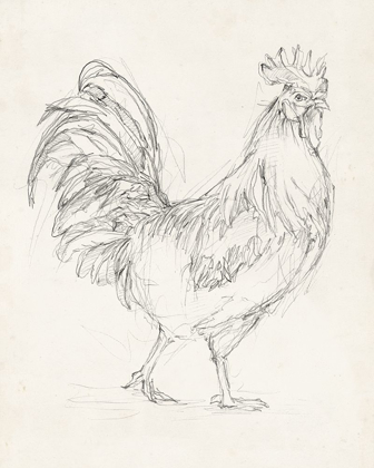 Picture of ROOSTER SKETCH I