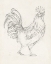 Picture of ROOSTER SKETCH I