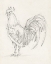 Picture of ROOSTER SKETCH II
