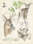 Picture of WILDLIFE JOURNALS IV